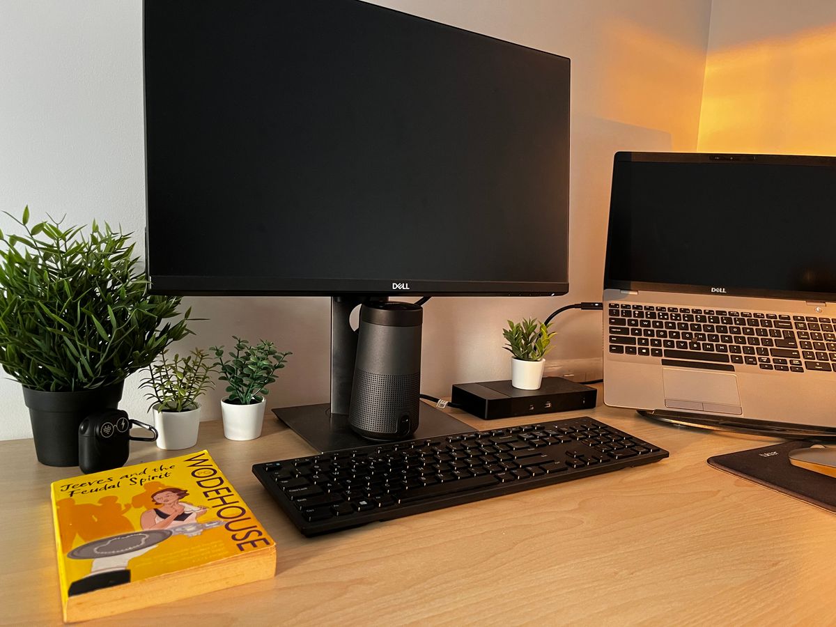 A laptop and monitor on a home office desk with plants